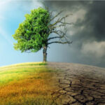 Biến đổi khí hậu là gì? Nguyên nhân & tác hại đối với con người